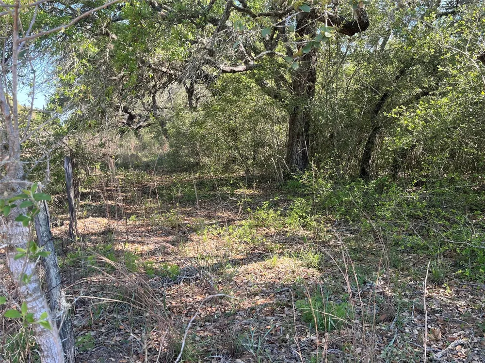 County Road 120 Hallettsville, TX 77964
