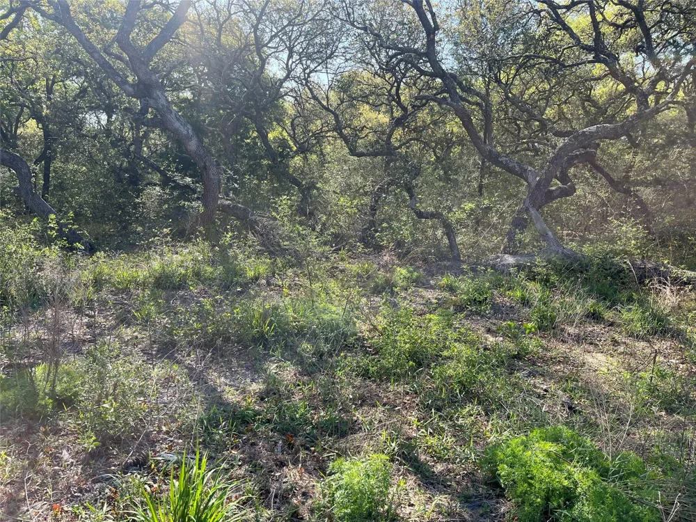 County Road 120 Hallettsville, TX 77964