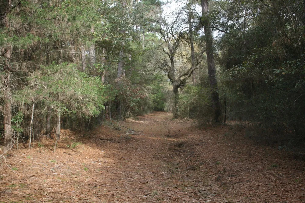 9000 County Road 355 Plantersville, TX 77363