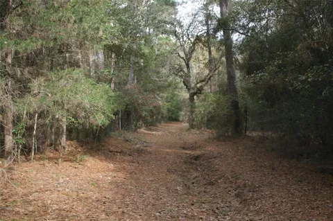 9000 County Road 355