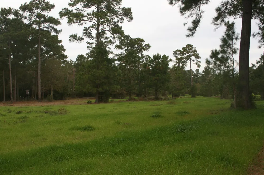 9000 County Road 355 Plantersville, TX 77363