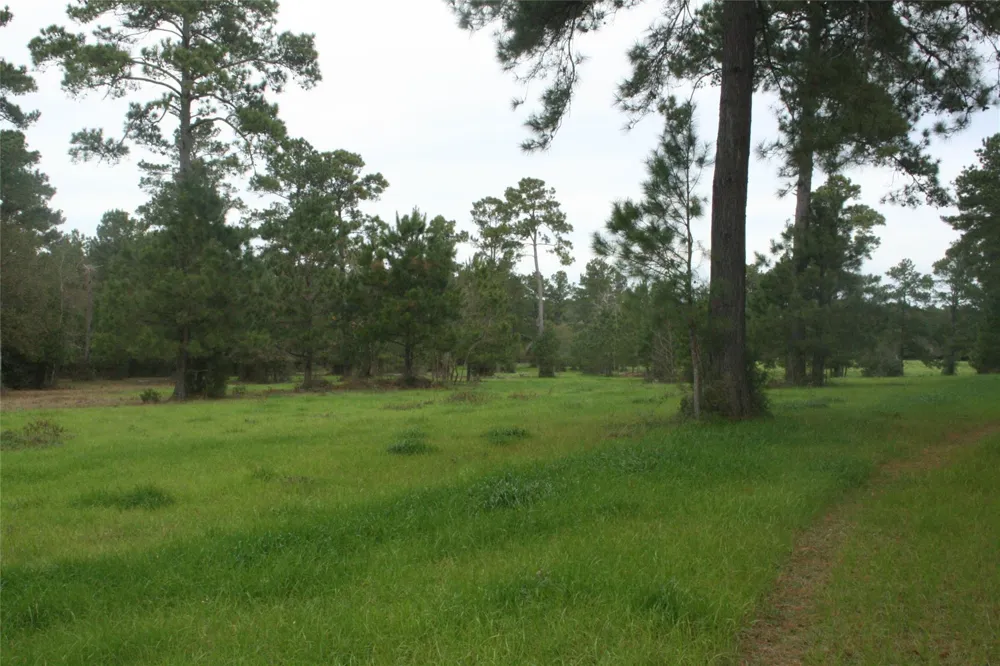 9000 County Road 355 Plantersville, TX 77363