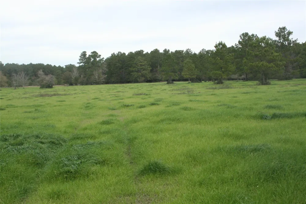 9000 County Road 355 Plantersville, TX 77363