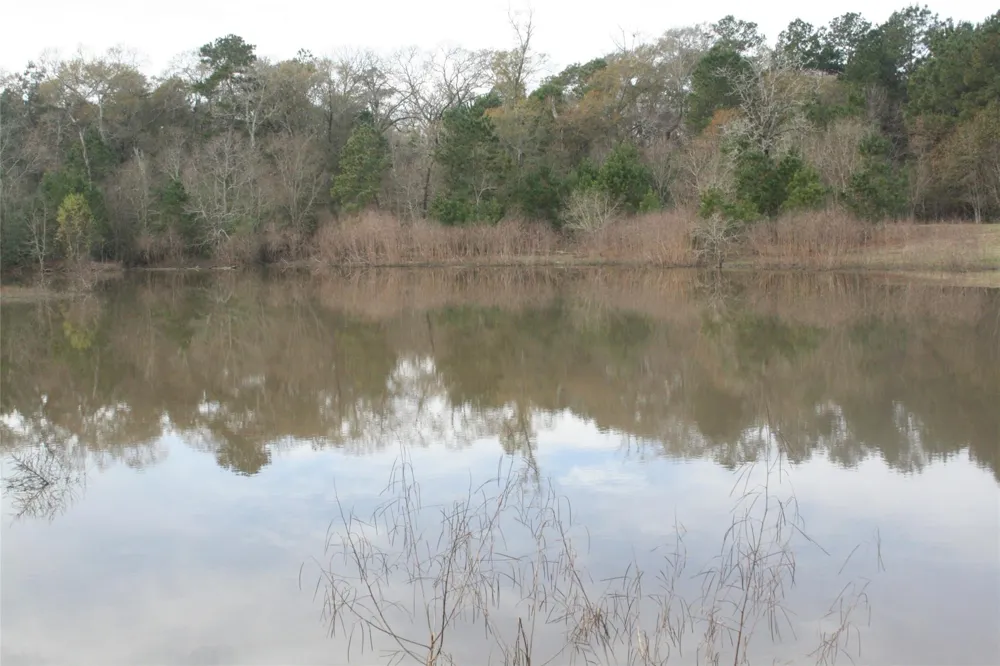9000 County Road 355 Plantersville, TX 77363