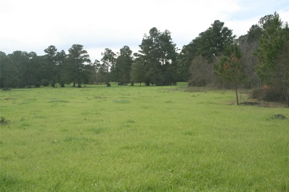 9000 County Road 355 Plantersville, TX 77363