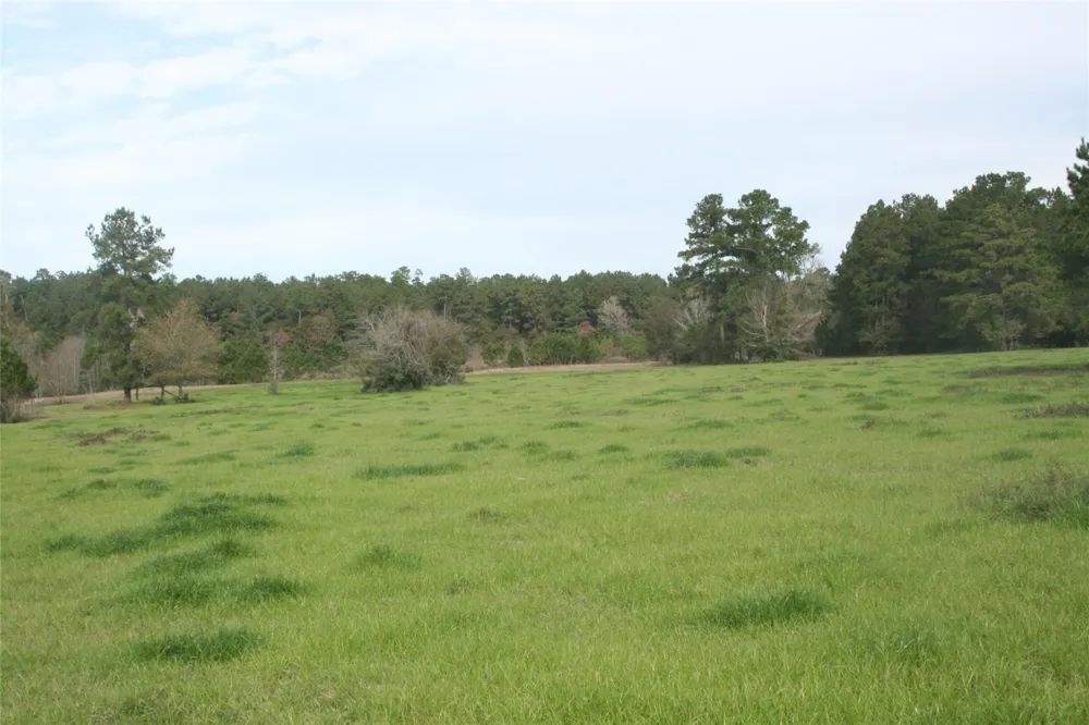 9000 County Road 355 Plantersville, TX 77363