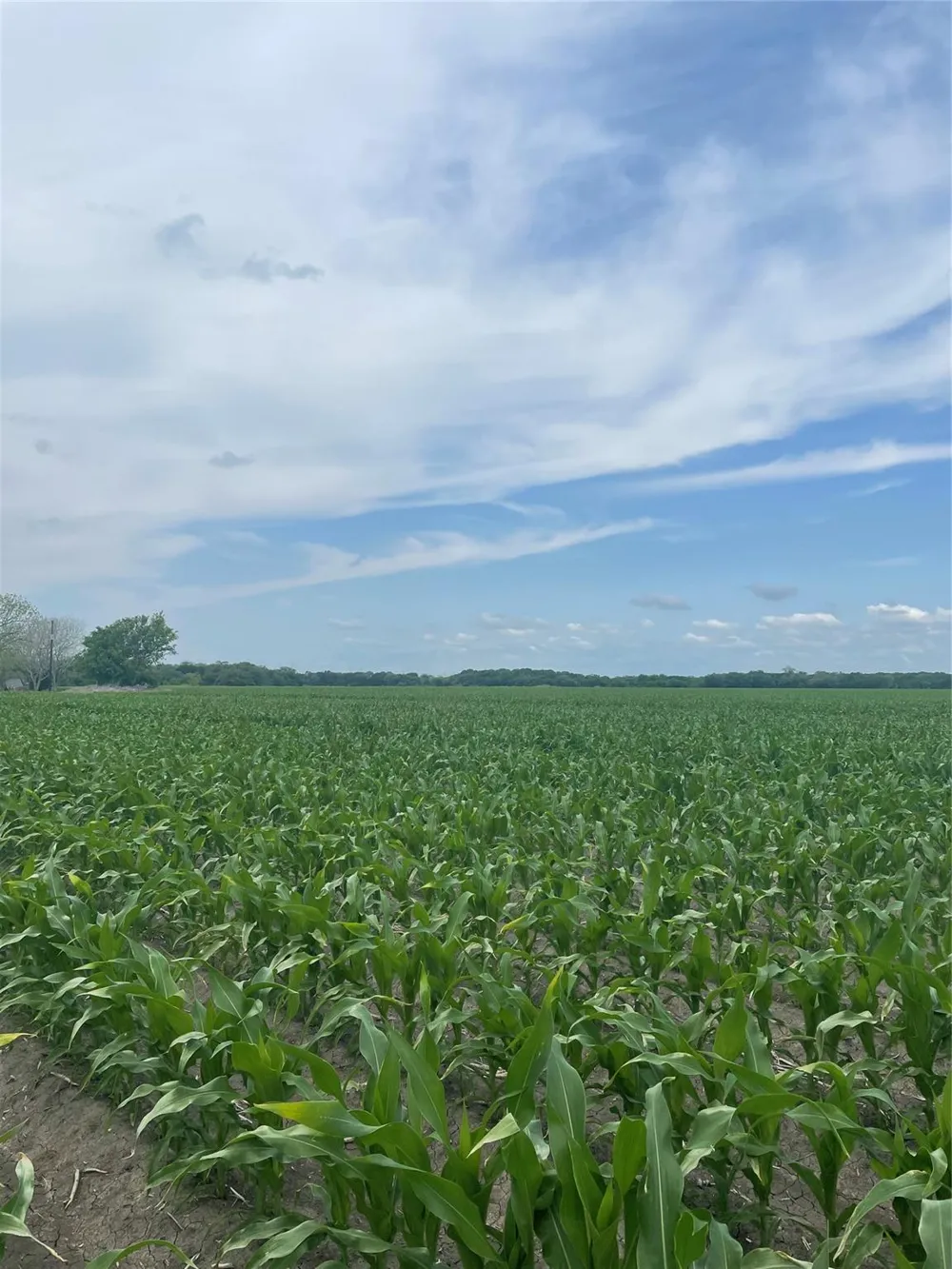 5604 Fm 2431 W Bay City, TX 77456