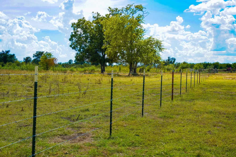 Tract 2 CR 470 Center Coupland, TX 78615