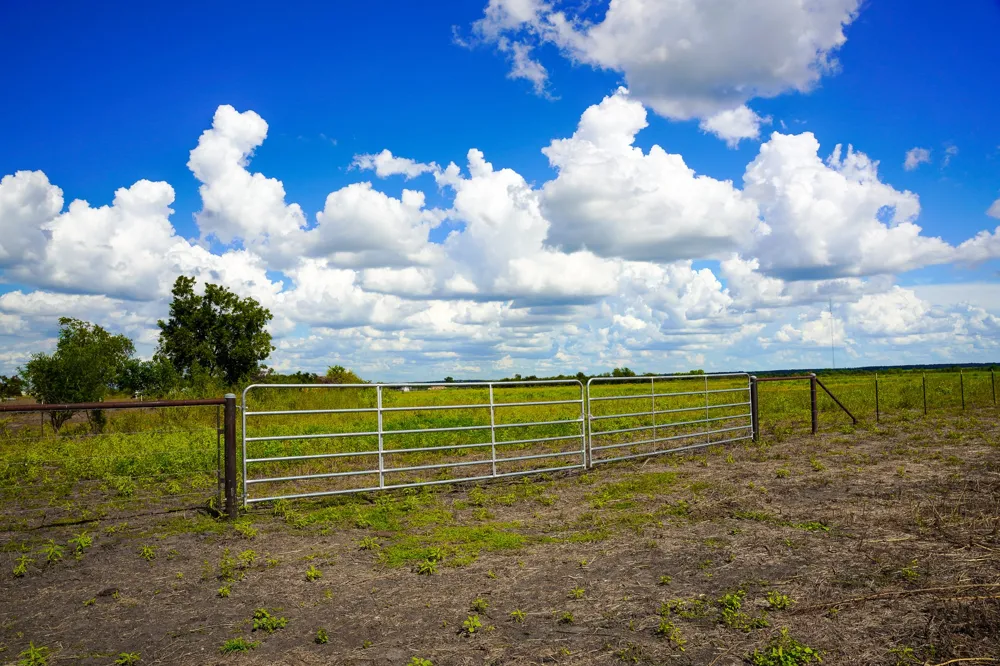 Tract 2 CR 470 Center Coupland, TX 78615