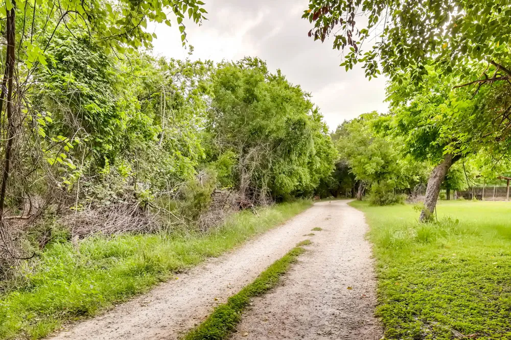Ervendberg Ave New Braunfels, TX 78130