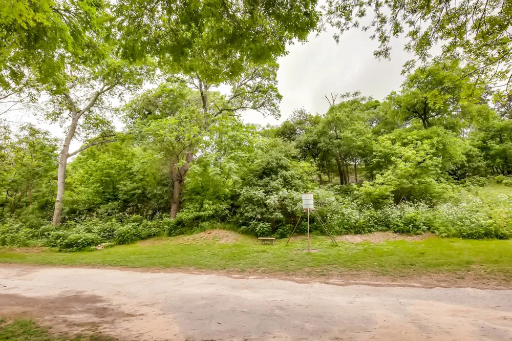 Ervendberg Ave New Braunfels, TX 78130