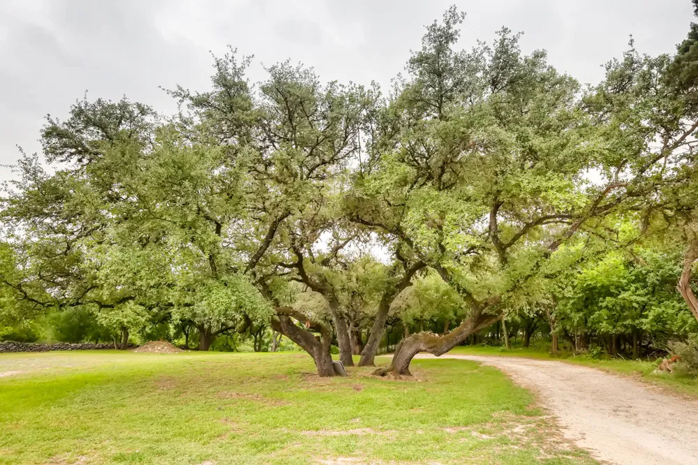 1390 Ervendberg New Braunfels, TX 78130