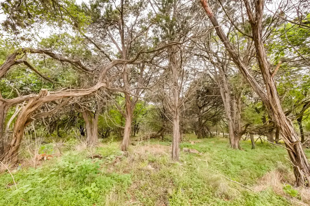 1390 Ervendberg New Braunfels, TX 78130