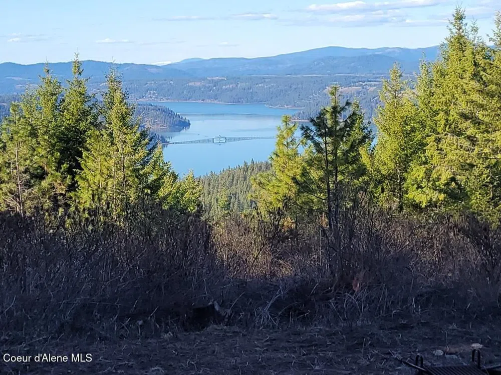 NKA 10 Acres Plummer, ID 83851