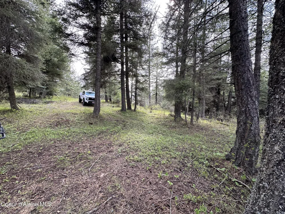 NKA 10 Acres Plummer, ID 83851