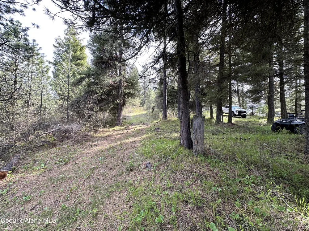 NKA 10 Acres Plummer, ID 83851