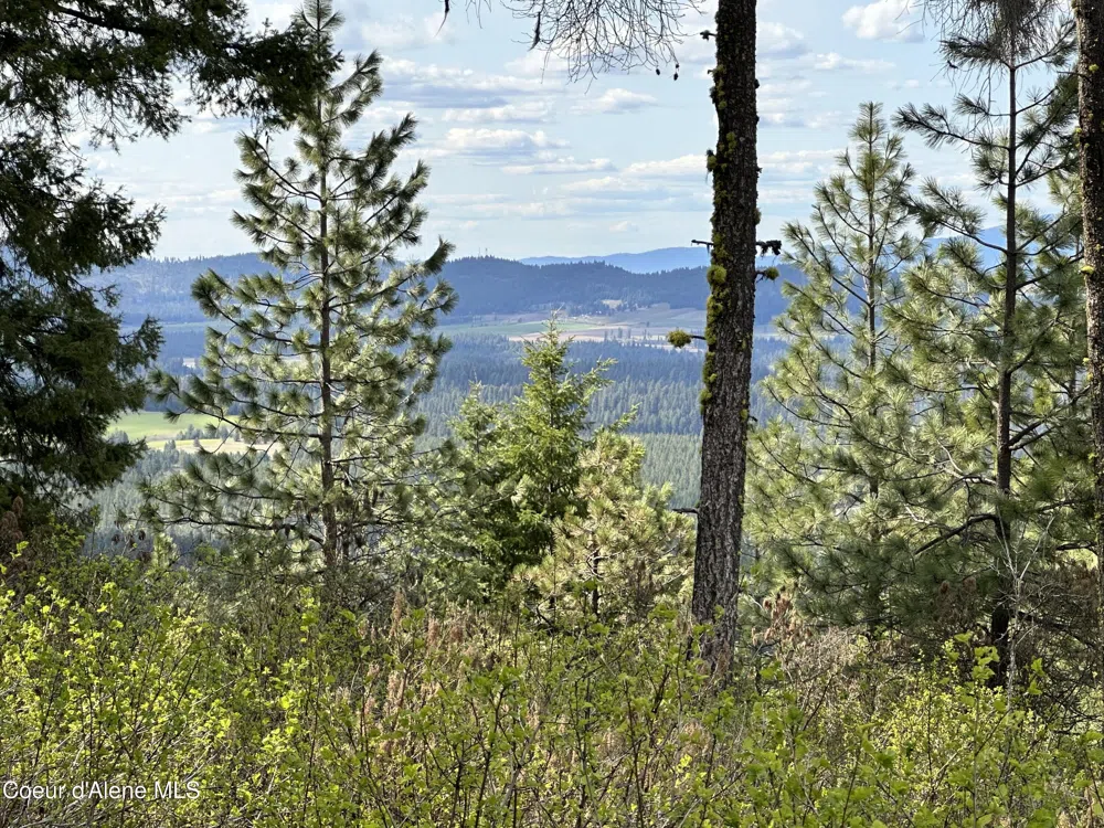 NKA 10 Acres Plummer, ID 83851