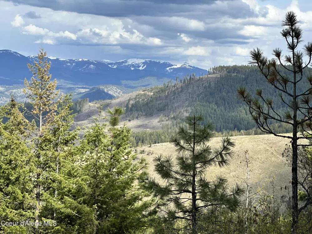 NKA 10 Acres Plummer, ID 83851