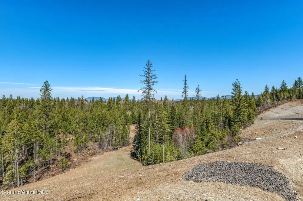 NKA Dickens Rd (Lot 6) Athol, ID 83801