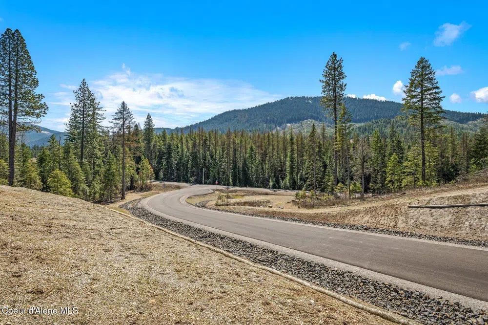NKA Dickens Rd (Lot 6) Athol, ID 83801