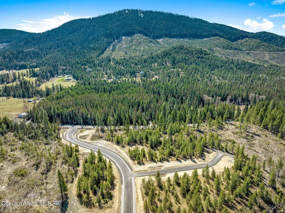 NKA Dickens Rd (Lot 6) Athol, ID 83801