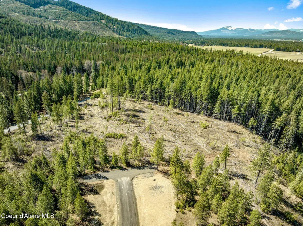 NKA Dickens Rd (Lot 6) Athol, ID 83801