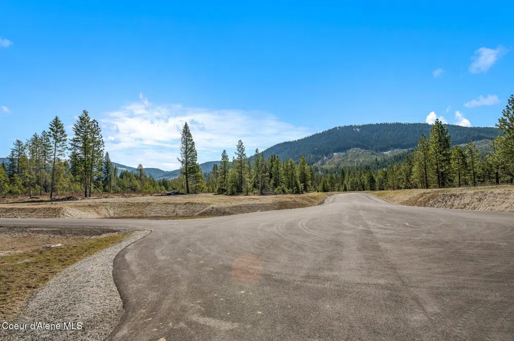 NKA Dickens Rd (Lot 1) Athol, ID 83801