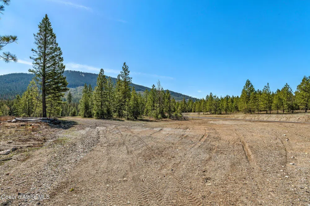 NKA Dickens Rd (Lot 1) Athol, ID 83801