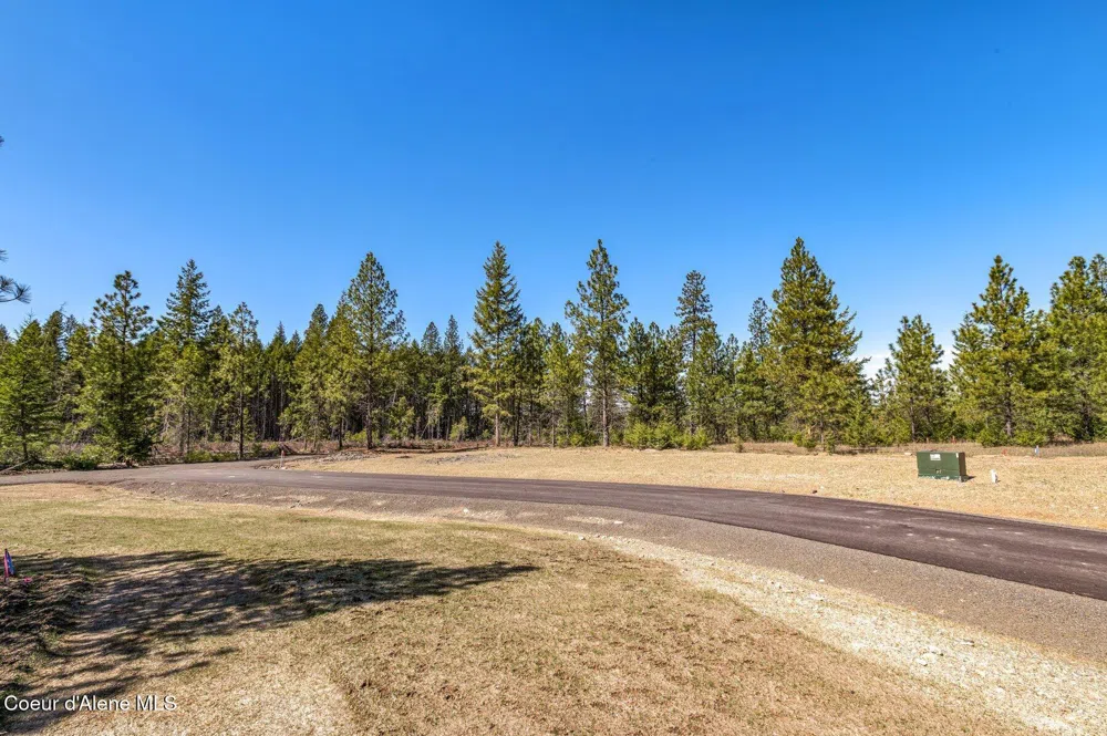NKA Dickens Rd (Lot 1) Athol, ID 83801