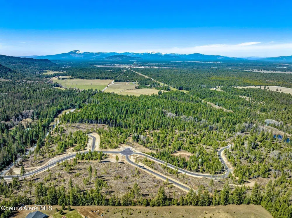NKA Dickens Rd (Lot 1) Athol, ID 83801