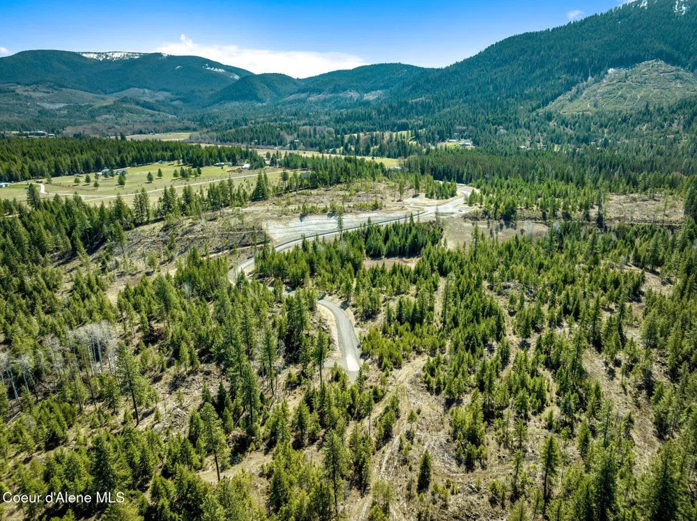 NKA Dickens Rd (Lot 1) Athol, ID 83801
