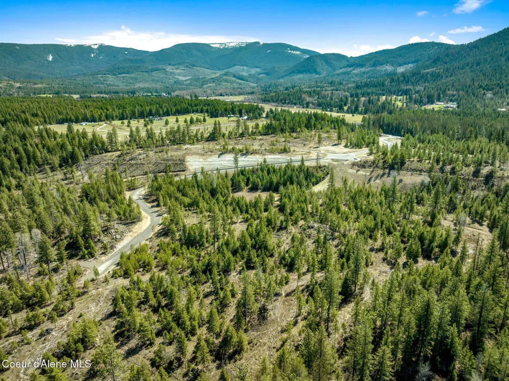 NKA Dickens Rd (Lot 1) Athol, ID 83801