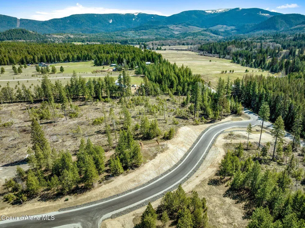 NKA Dickens Rd (Lot 1) Athol, ID 83801