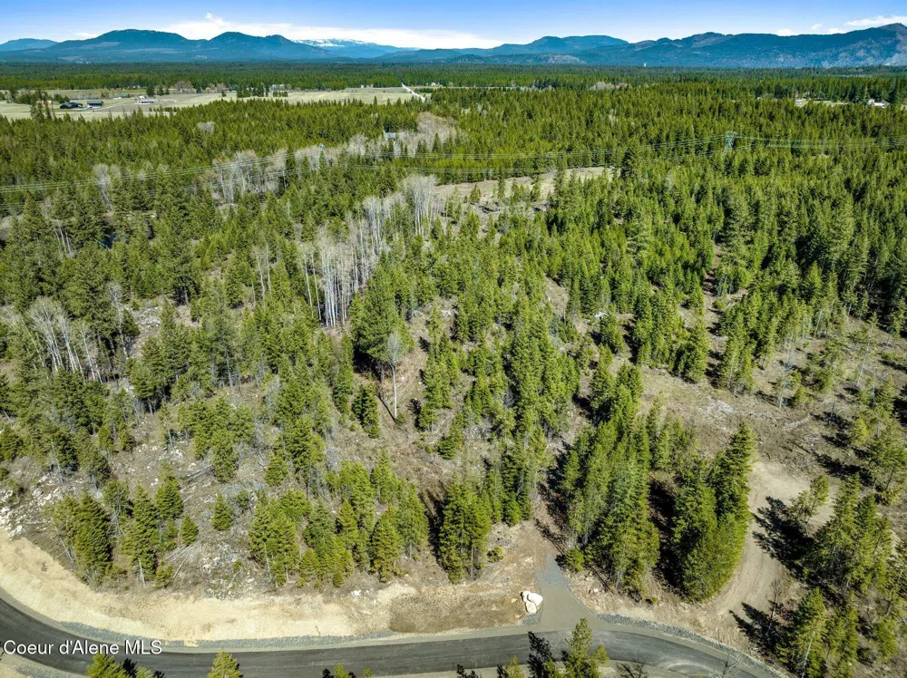 NKA Dickens Rd (Lot 1) Athol, ID 83801