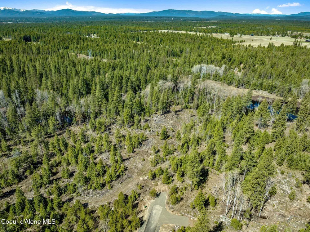 NKA Dickens Rd (Lot 1) Athol, ID 83801