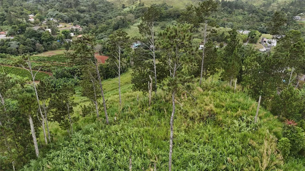 KM 0.2 INT Bo. Helechal PR 152 Barranquitas, PR 00794