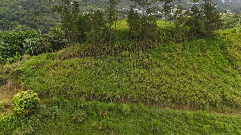KM 0.2 INT Bo. Helechal PR 152 Barranquitas, PR 00794
