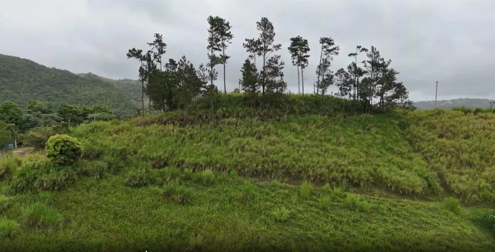 KM 0.2 INT Bo. Helechal PR 152 Barranquitas, PR 00794