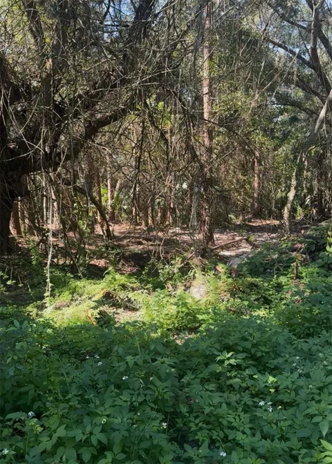 CR-138