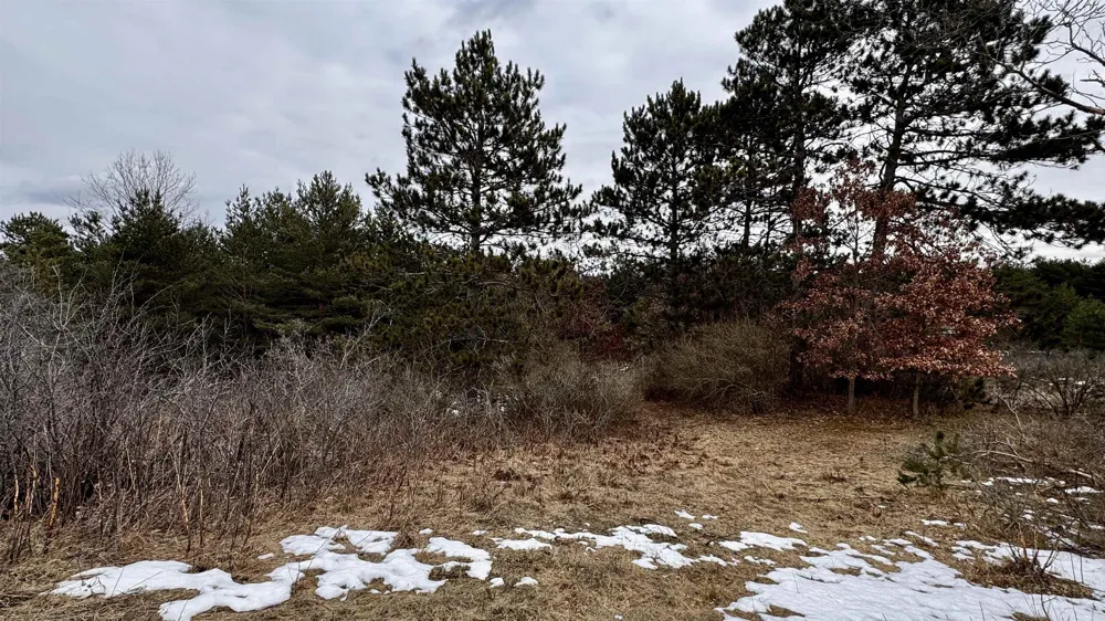 7801 S US-131 Clam Lake Township, MI 49601