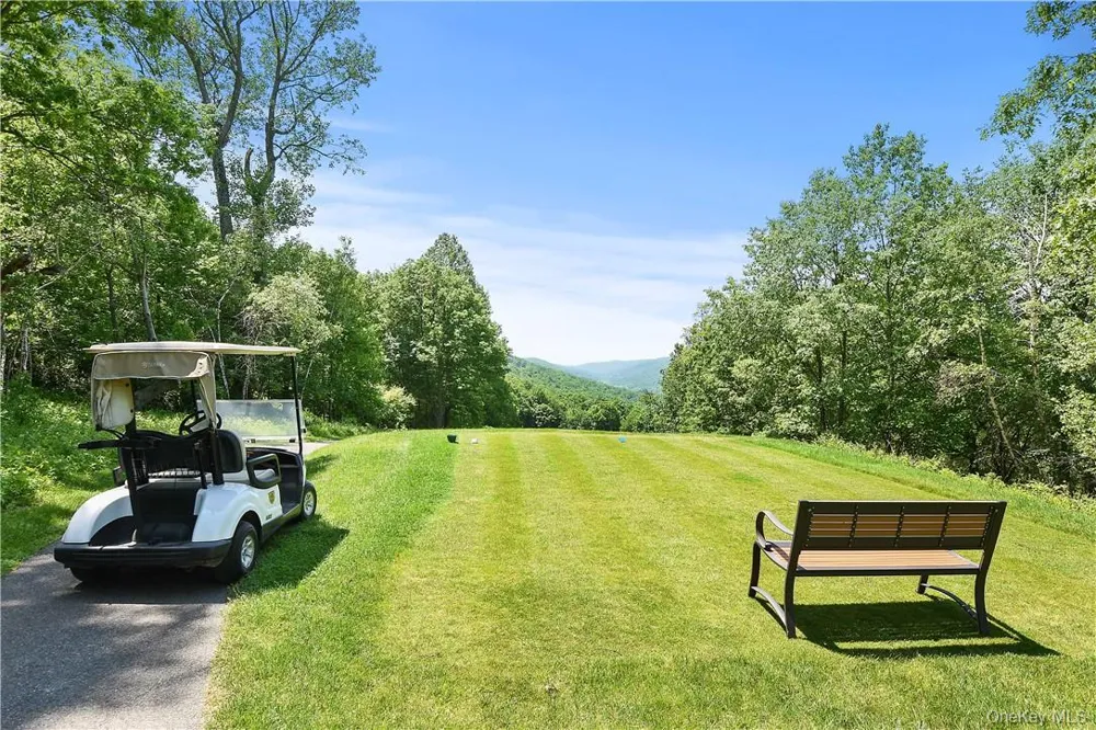 31 Kittredge Drive Carmel, NY 10512