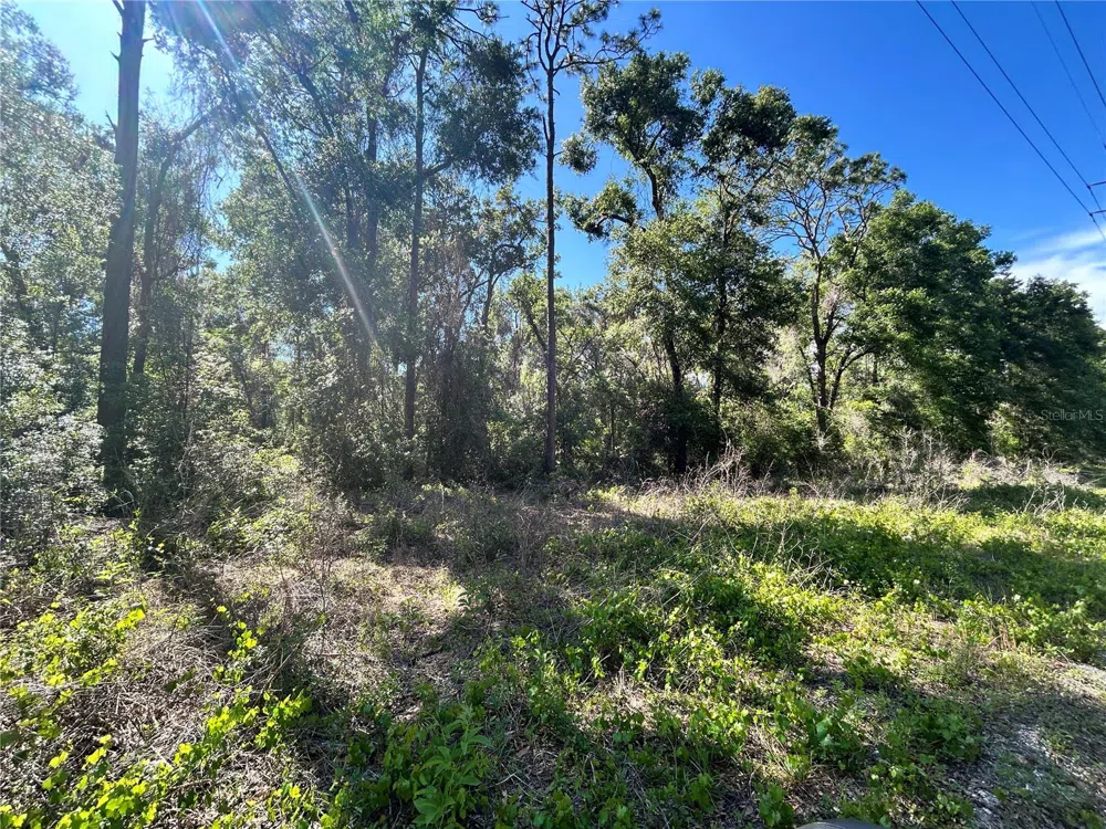 9319 S FLORIDA AVENUE Floral City, FL 34436