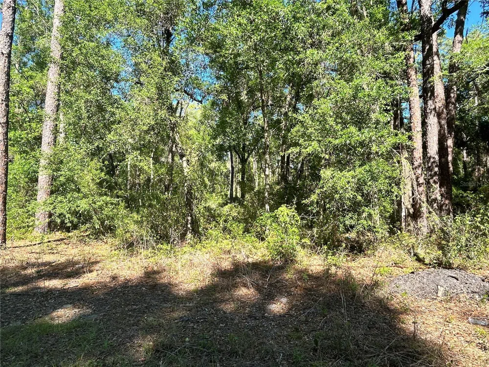 9319 S FLORIDA AVENUE Floral City, FL 34436