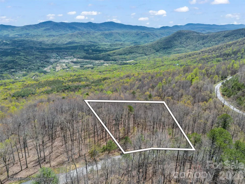 280 Eastman Place Mill Spring, NC 28756