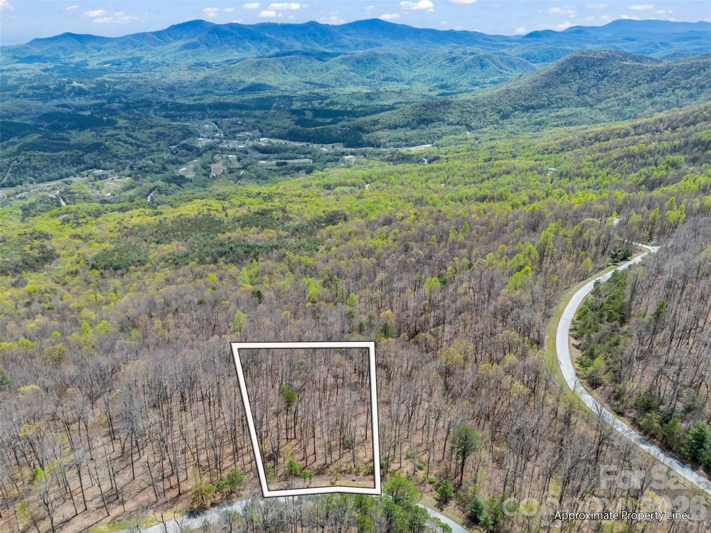 280 Eastman Place Mill Spring, NC 28756