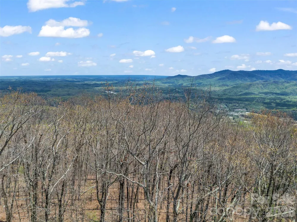 280 Eastman Place Mill Spring, NC 28756