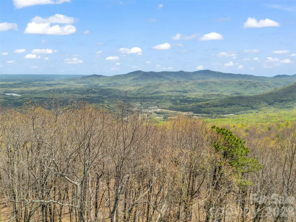 280 Eastman Place Mill Spring, NC 28756