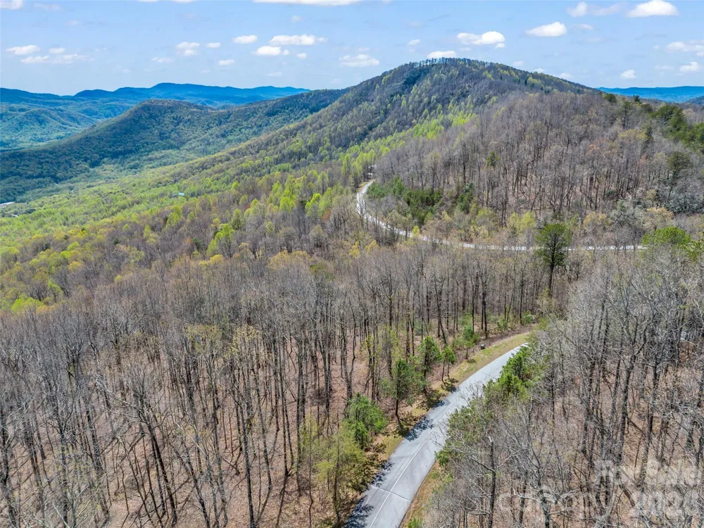 280 Eastman Place Mill Spring, NC 28756