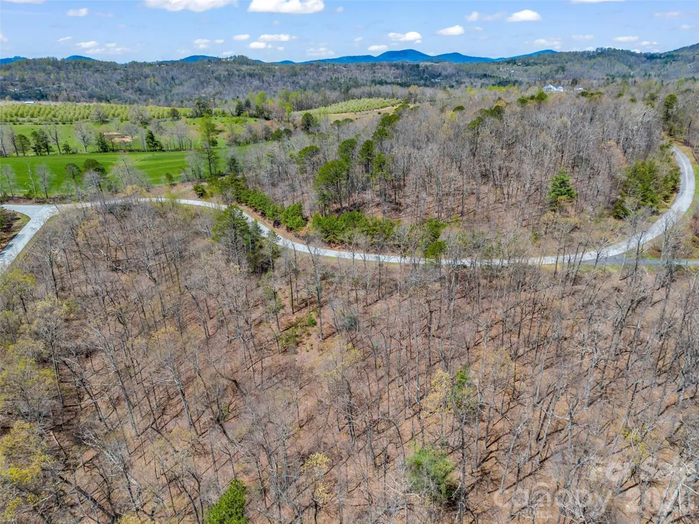 280 Eastman Place Mill Spring, NC 28756