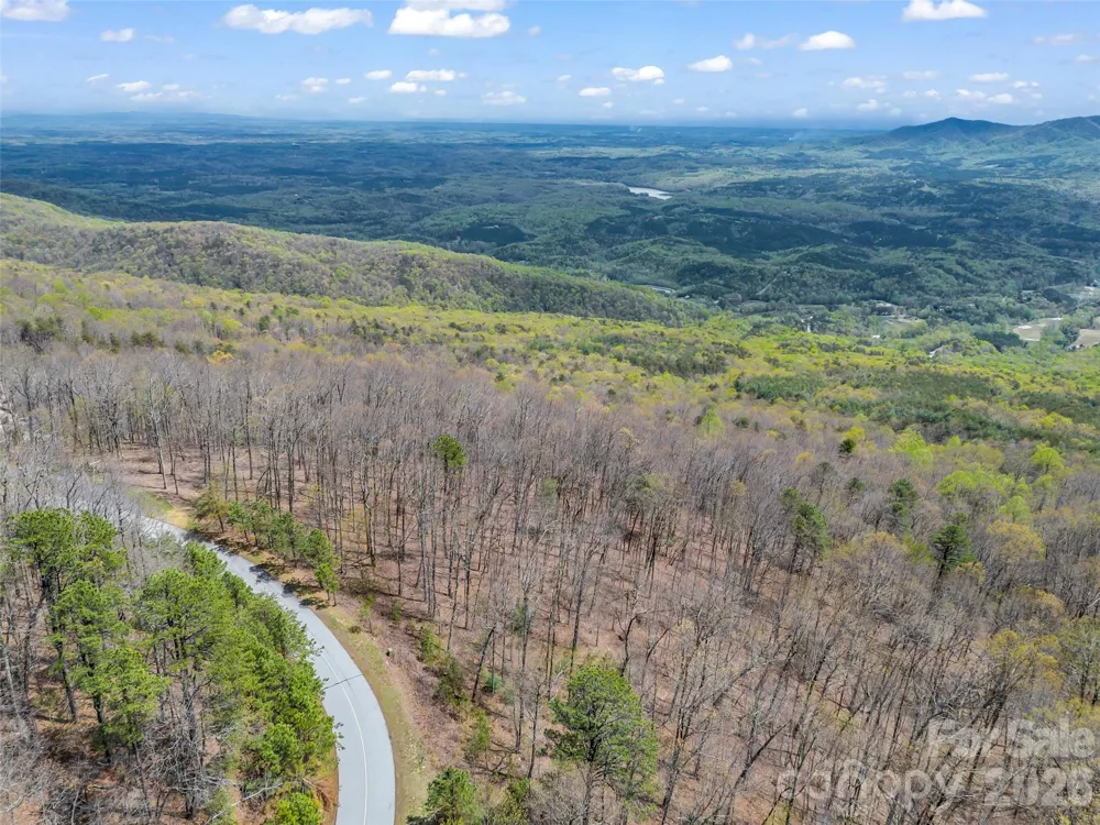 280 Eastman Place Mill Spring, NC 28756